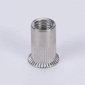 Sang sane matunggil ring Kepala Cetakan Nut
